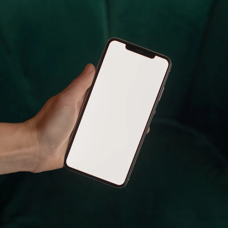 A phone held in one hand, the catalogue open on it
